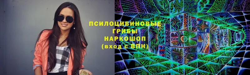 Псилоцибиновые грибы MAGIC MUSHROOMS  darknet состав  Горнозаводск 